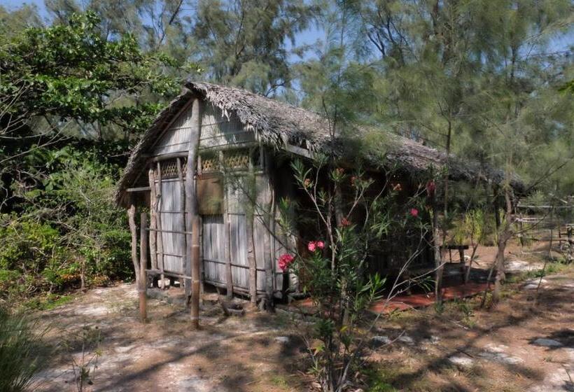 بانگلوی استاندارد, Varatraza Wind Riders