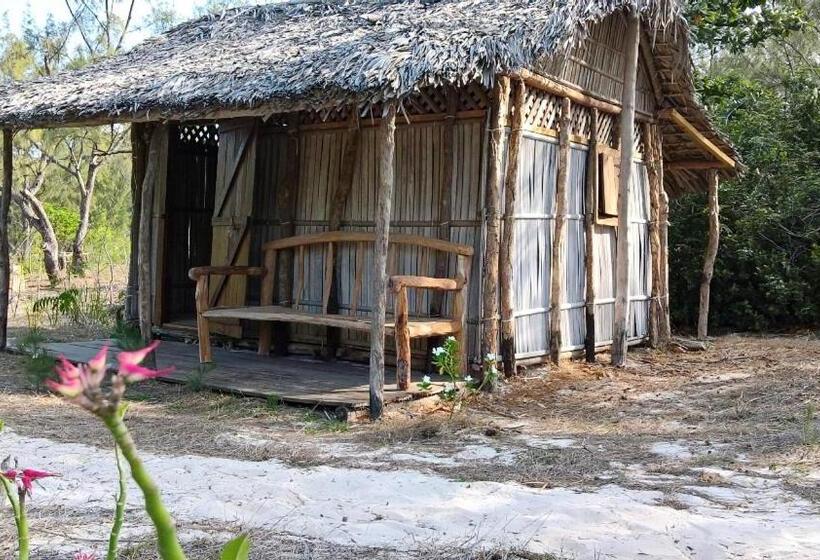 بانگلوی استاندارد, Varatraza Wind Riders