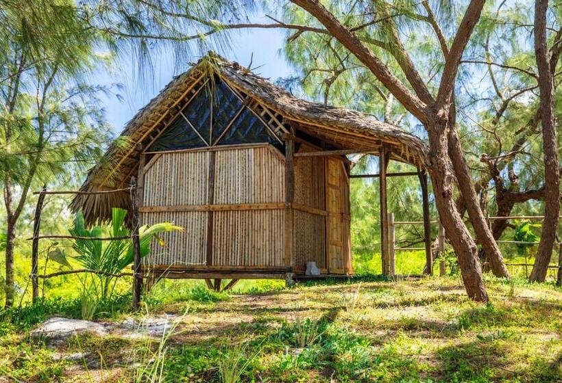 بانگلوی استاندارد, Varatraza Wind Riders