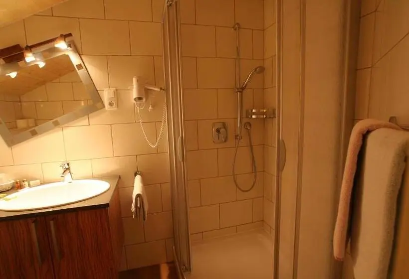 バルコニー付きスタンダードルーム, Wanderhotel Grüner Baum