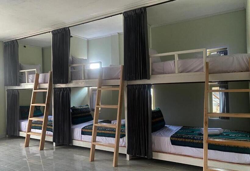 מיטה בחדר משותף, Bed On The Beach