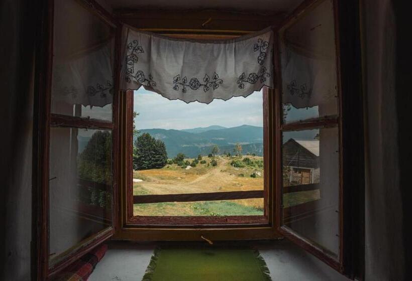 Quarto Triplo Estandar, Household šain