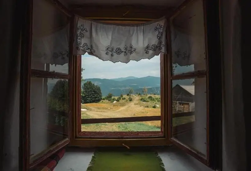 اتاق استاندارد سه نفره, Household šain