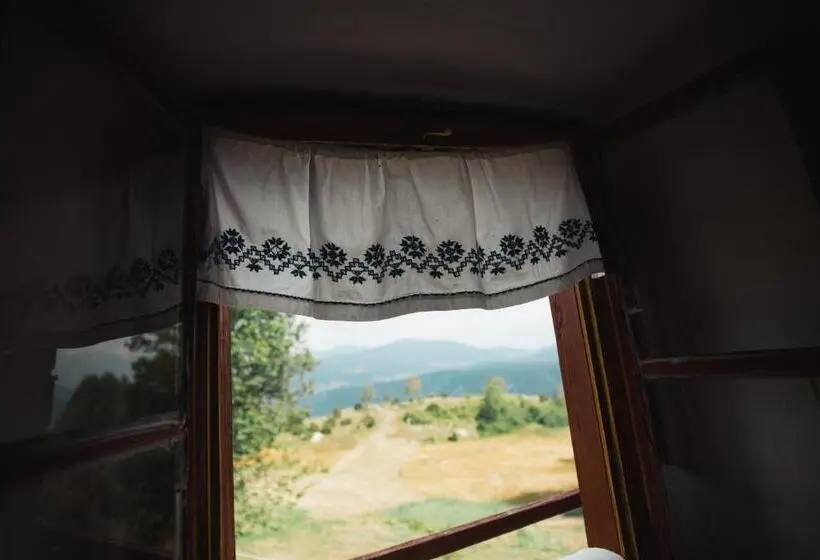 اتاق استاندارد چهار تخته, Household šain