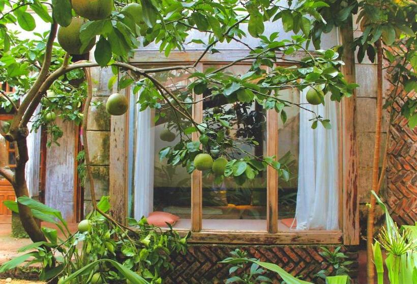 اتاق استاندارد چهارنفره با چشم‌انداز باغ, đoài Homestay đường Lâm