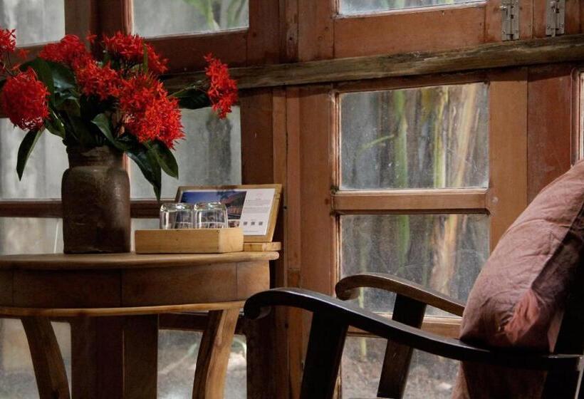 اتاق استاندارد سه نفره, đoài Homestay đường Lâm