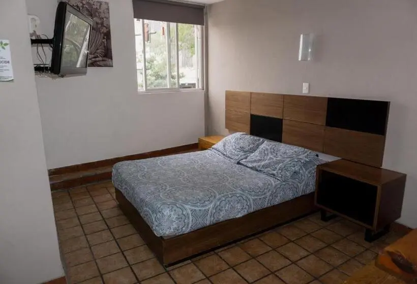 اتاق استاندارد یک نفره, Casa Barcelona San Luis Potosí