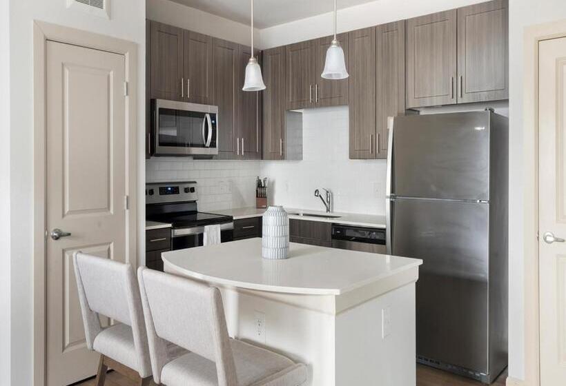 Апартаменты 1 Спальня, The Parker Austin Condos By Barsala