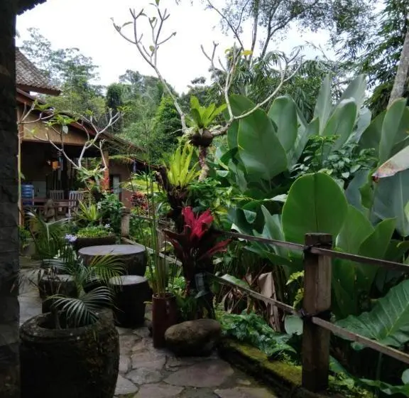 デラックスルーム, Umah Mimpi