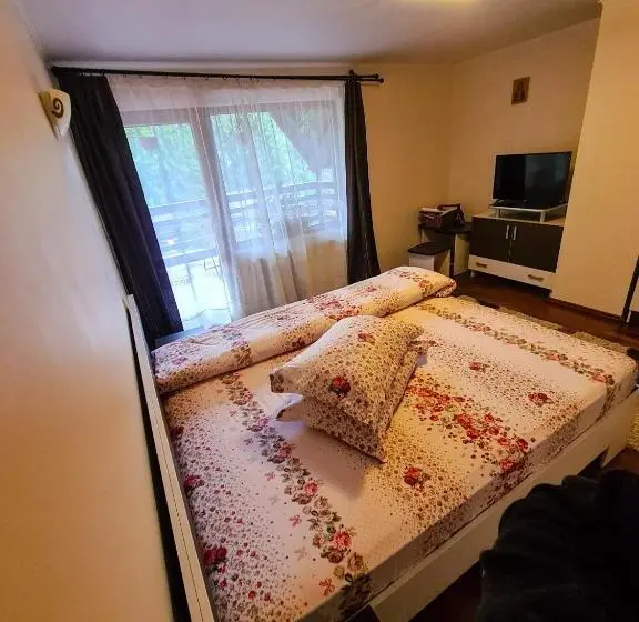 スタンダードルーム, Vis De Munte
