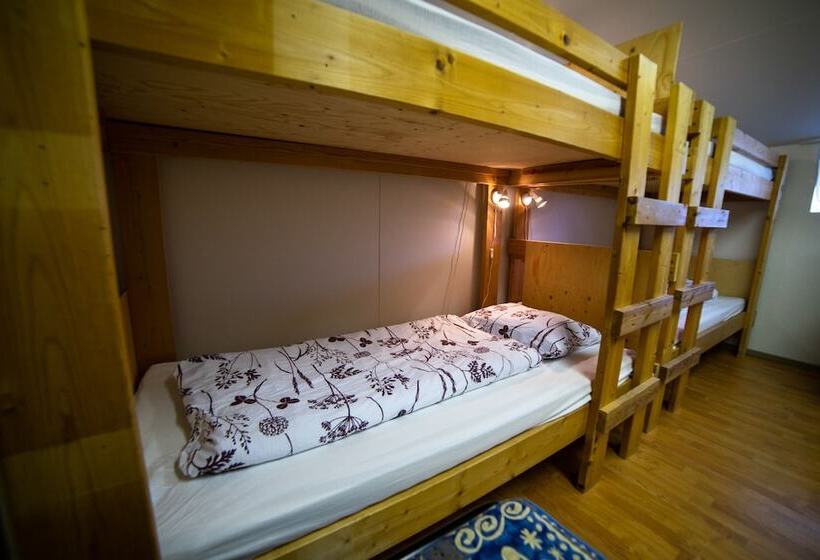 تختخواب در اتاق مشترک, Berg Hostel