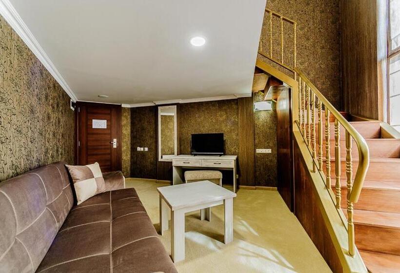 دوبلکس یک خوابه, Alisa