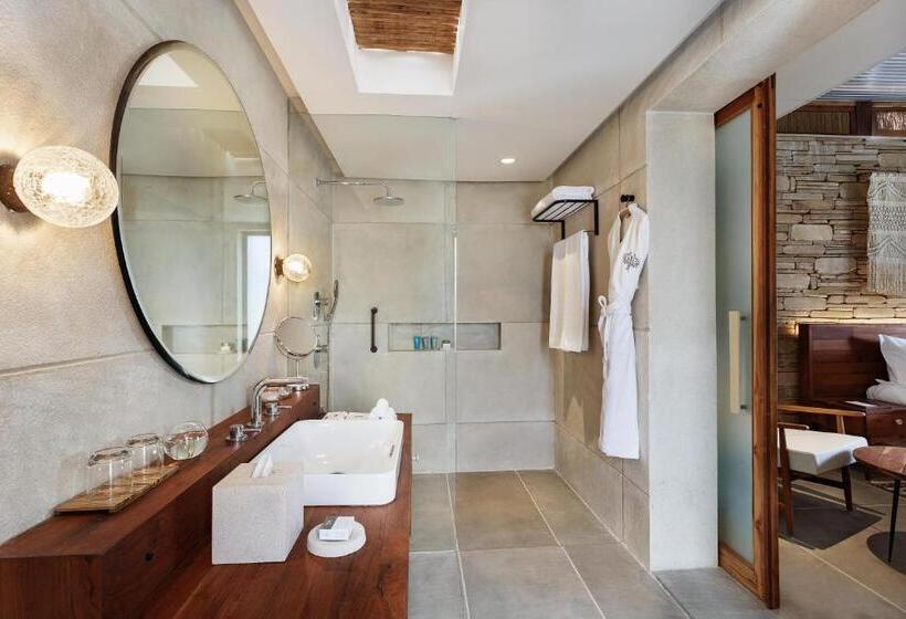 חדר סטודיו סטנדרד, Woods At Sasan