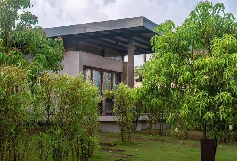 Standard-studio, Woods At Sasan
