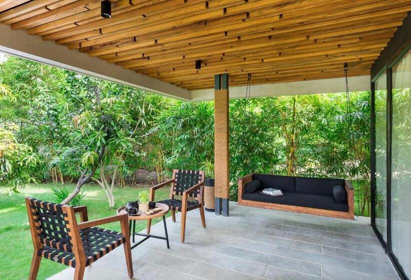 חדר סטנדרט, Woods At Sasan