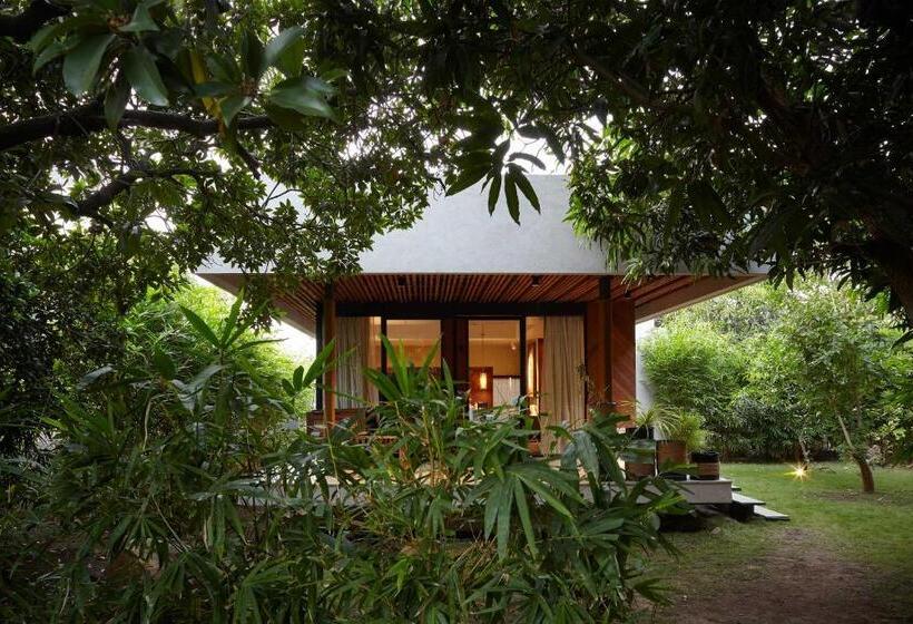 חדר סטנדרט, Woods At Sasan