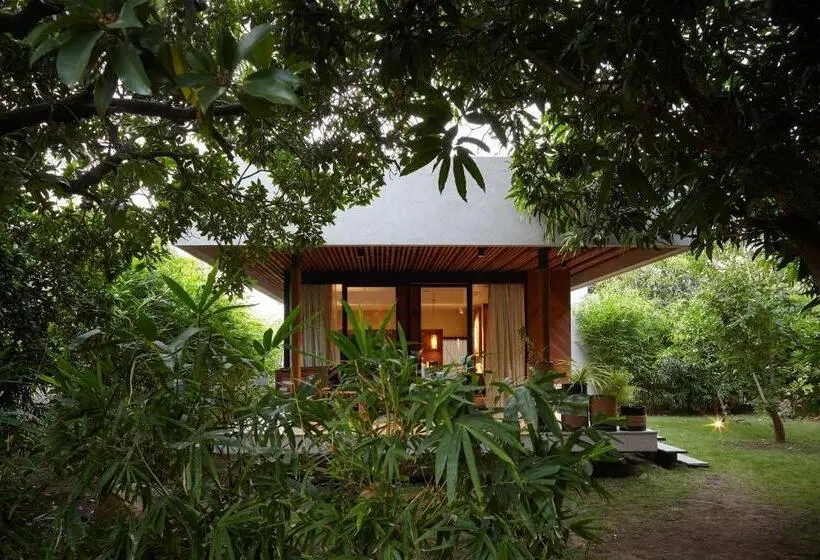 Standard-huone, Woods At Sasan