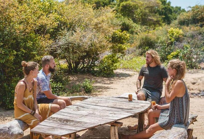 패밀리 룸 바다 전망, Jungle Surf Camp