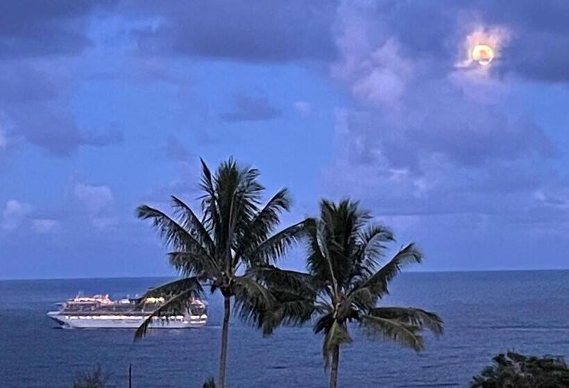 חדר סטנדרט עם מיטת קינג, Magic Skies B&b