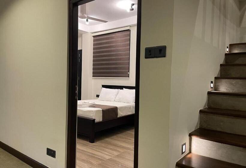 标准间, Lush Breeze