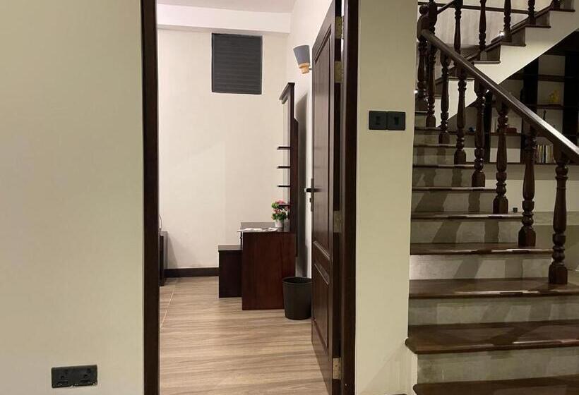 标准间, Lush Breeze