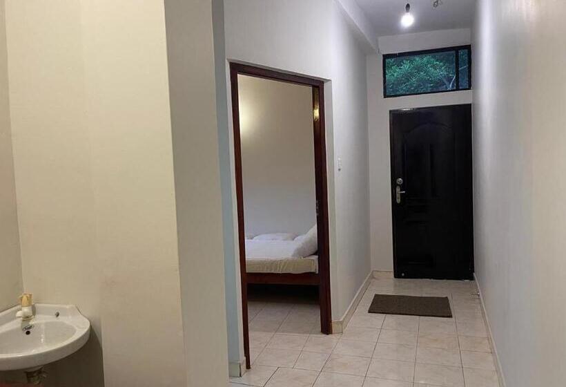 经济房, Lush Breeze