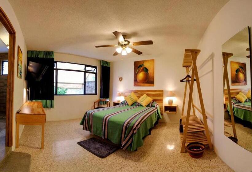 스탠다드 룸, Luz Casa De Huespedes