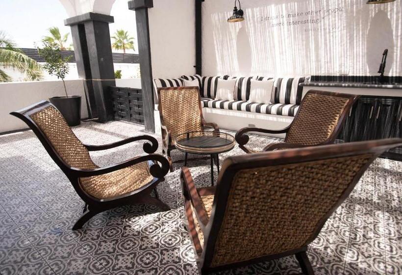 スイート, Casa 1880