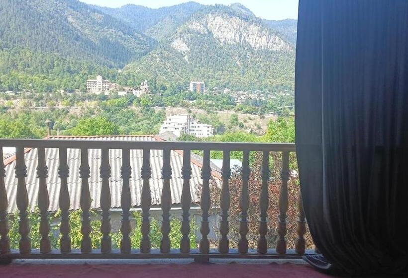 اتاق استاندارد با چشم‌انداز کوهستان, Horizont Borjomi