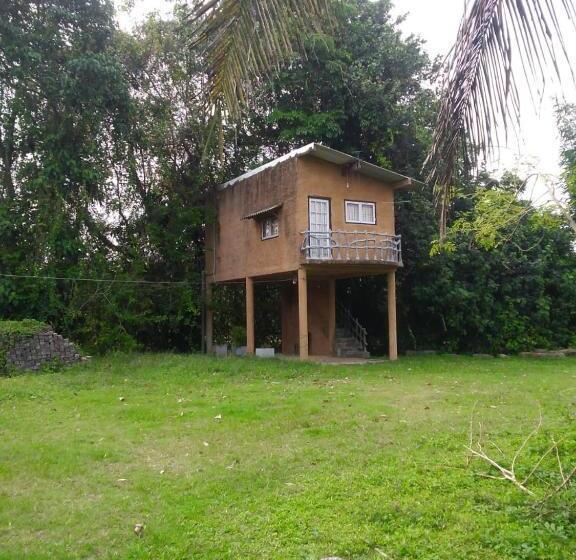 스탠다드 룸 가든 전망, Field Seven