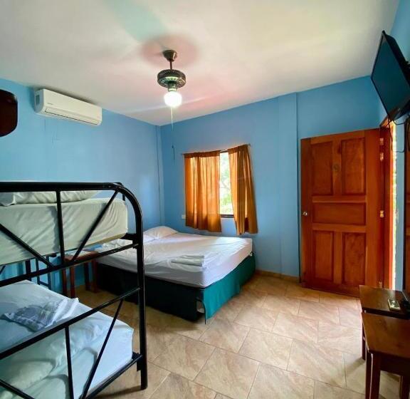 اتاق استاندارد چهار تخته, Paraíso Del Sur