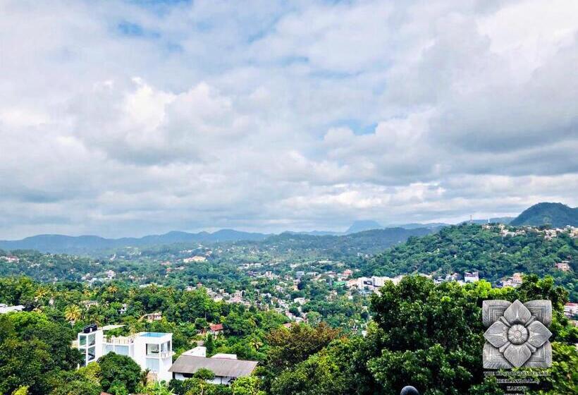 غرفة عائلية, The Upcountry Resort