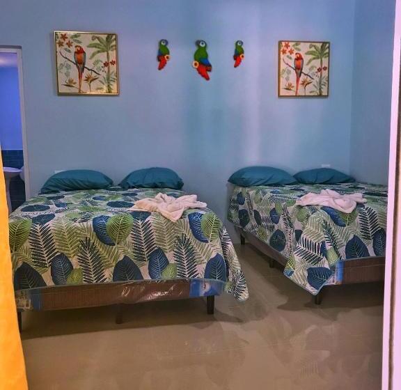 اتاق استاندارد, Playa Morena El Paredon