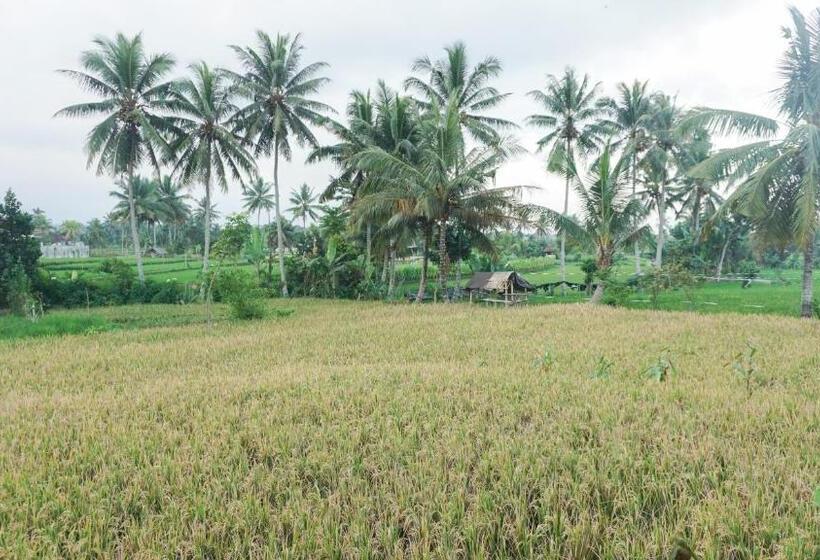 חדר משפחתי, Rinjani Terrace Cottage & Resto