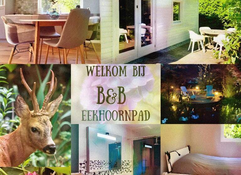 اتاق لوکس, B&b Eekhoornpad