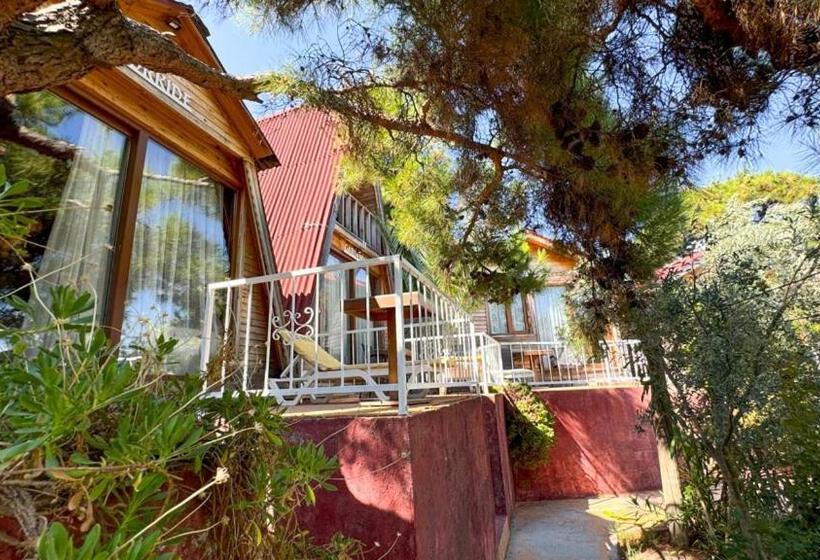 חדר משפחתי, Gaia Bungalow