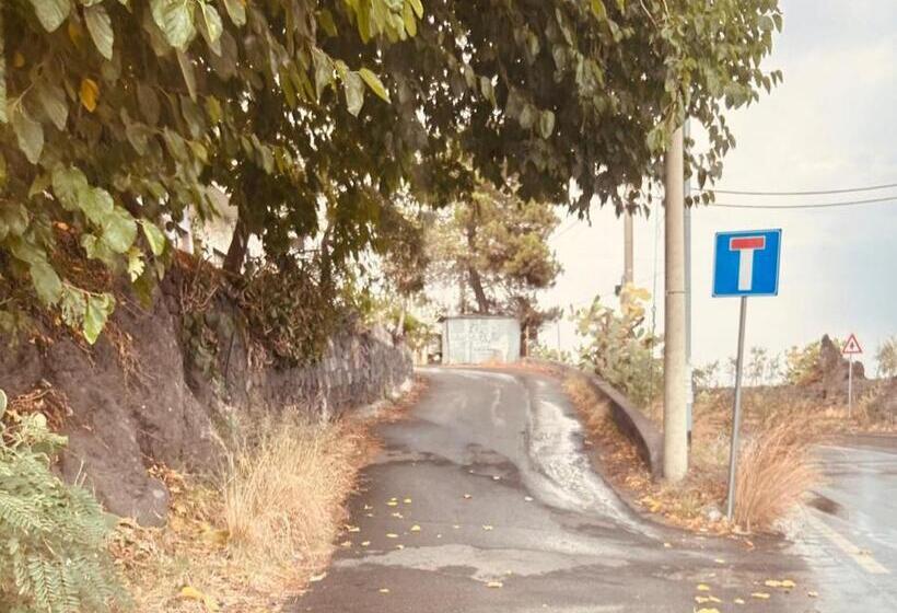 اتاق استاندارد, Sicily Summer