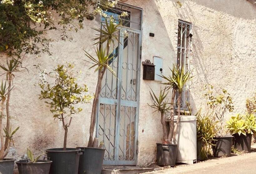 اتاق استاندارد, Sicily Summer