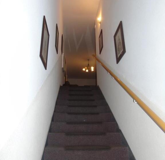 스탠다드 싱글 룸, Toris Inn