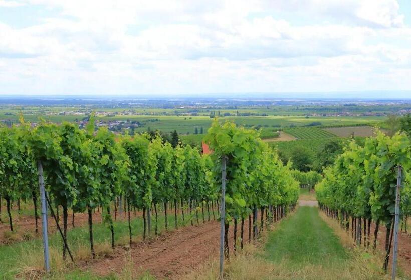 带大床的套房, Spyglass