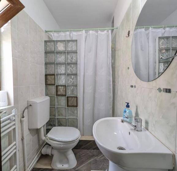 חדר סטנדרט, Casa Helen House, Iasi