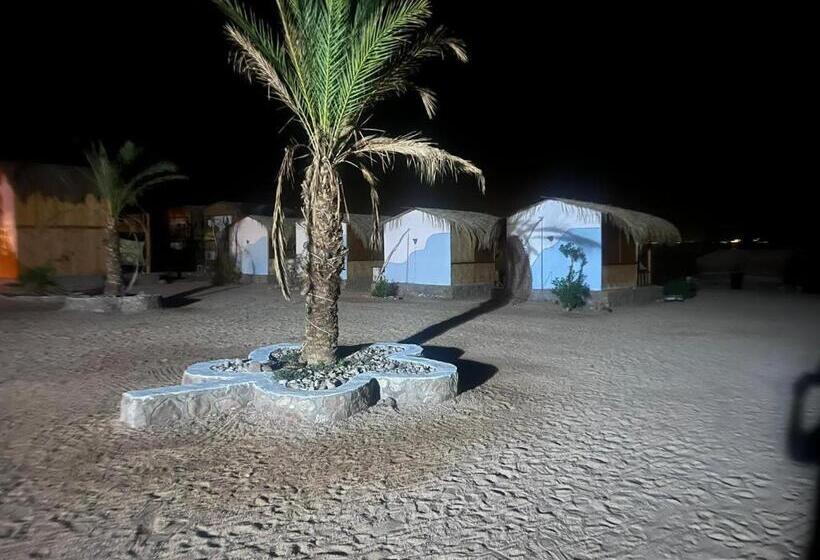 اتاق استاندارد با چشمانداز دریا, The Bedouin Life With Eid Ali