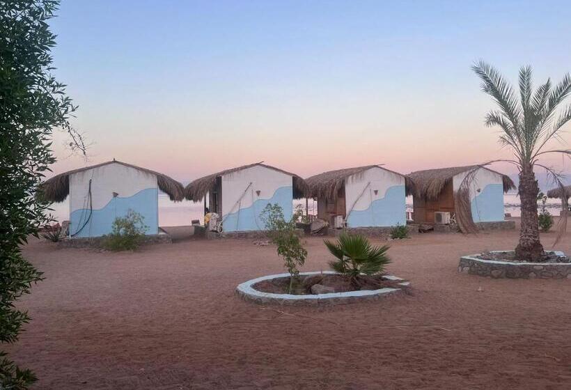 اتاق استاندارد با چشم‌انداز دریا, The Bedouin Life With Eid Ali