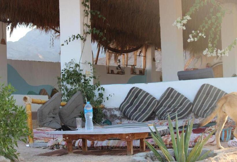 اتاق لوکس با چشمانداز دریا, The Bedouin Life With Eid Ali