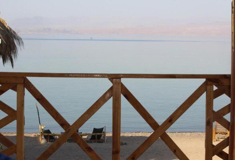 اتاق لوکس با چشمانداز دریا, The Bedouin Life With Eid Ali