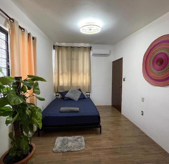 标准间, Casa Jaguares