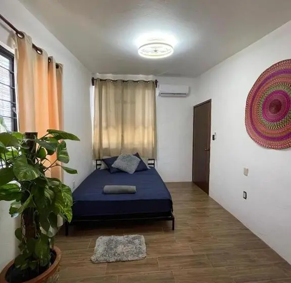 اتاق استاندارد, Casa Jaguares
