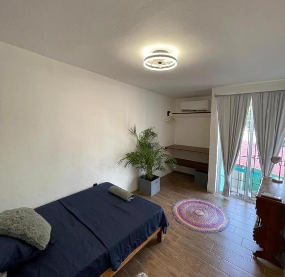 标准间, Casa Jaguares