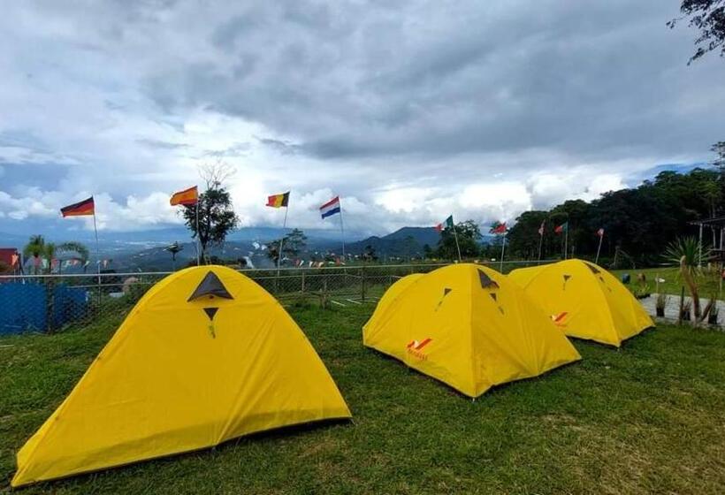Standard Tent, Hollywood Hill Lengkoan
