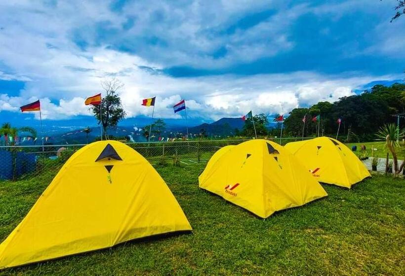 Standard Tent, Hollywood Hill Lengkoan